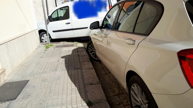 selvaggio
