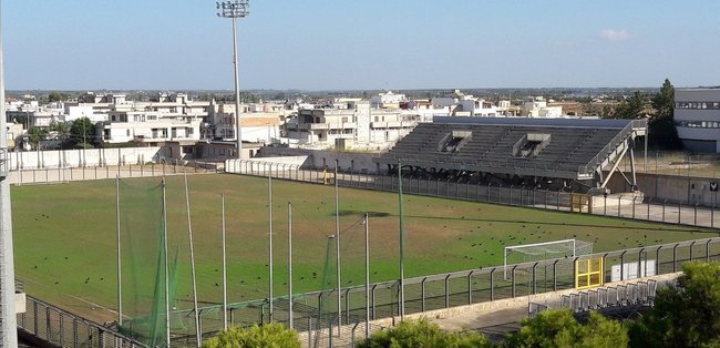 campo invaso dai piccioni web