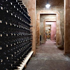 cantina schola sarmenti