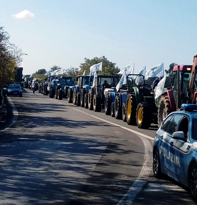manifestazione trattori web2