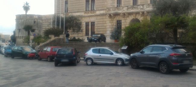selvaggio2