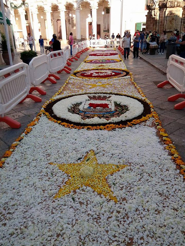 LINFIORATA AL COMPLETO