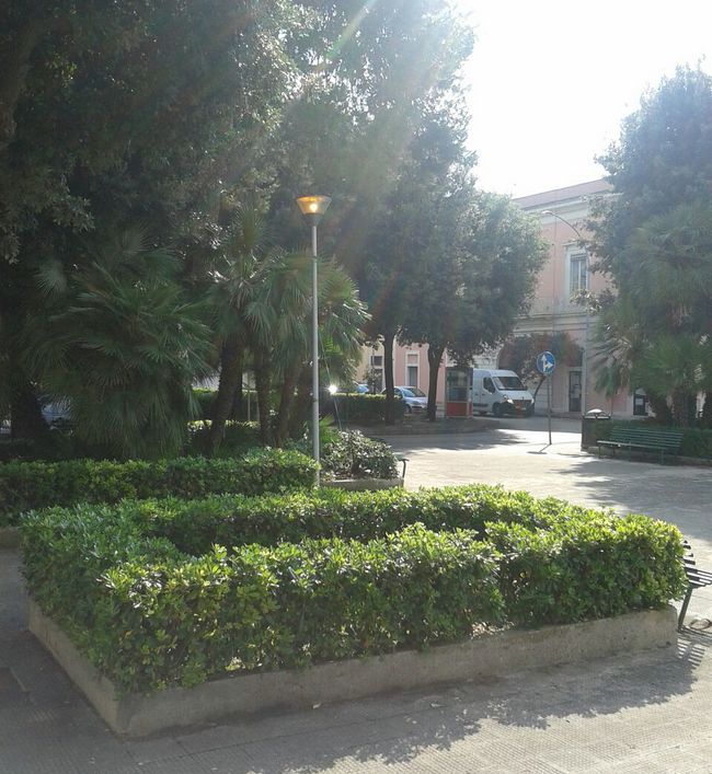 luciaccese2