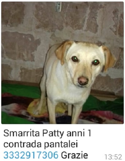 patty