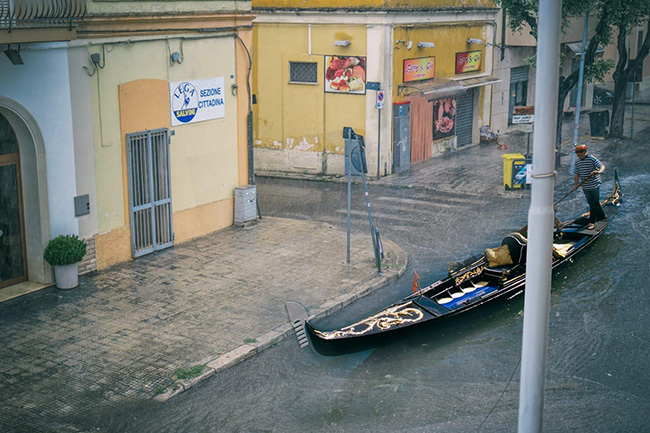 nardo venezia
