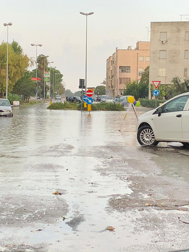 allaga 07