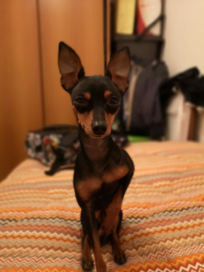 img 20190706 wa00142357029944167180317