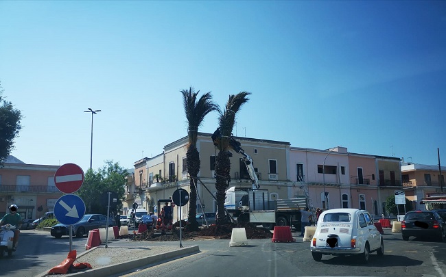 palme