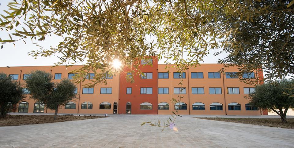 12106722 1029379730448199 4437242664875113090 n