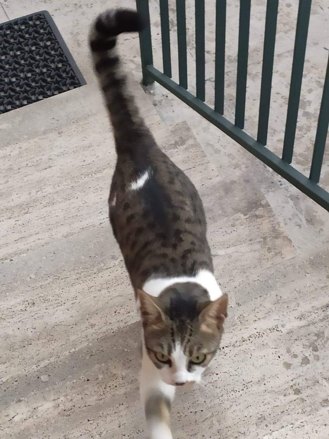 74341023 605974663269762 2065013094731481088 n 650x866