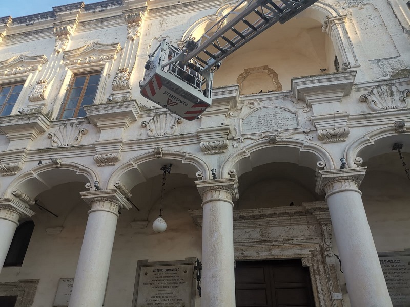 PICCIONE1