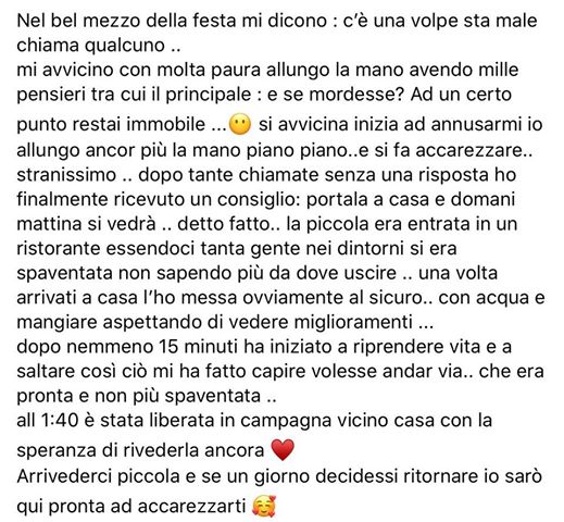 volpe2