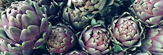 artichoke benefits