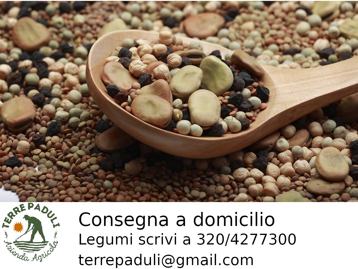 WhatsApp Image 2020 04 06 at 19.33.12