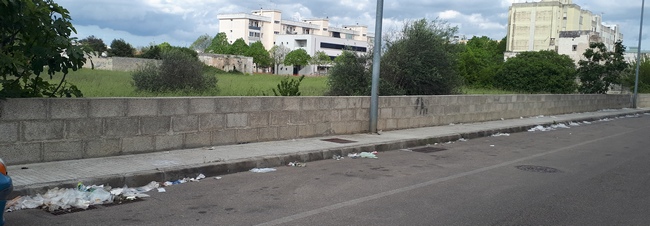 segni 2