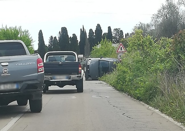 inci galatone