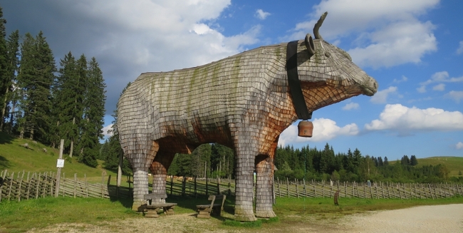toro