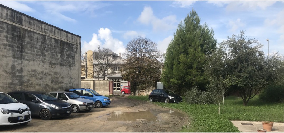 alberi da progetto