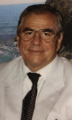fioravantenanni