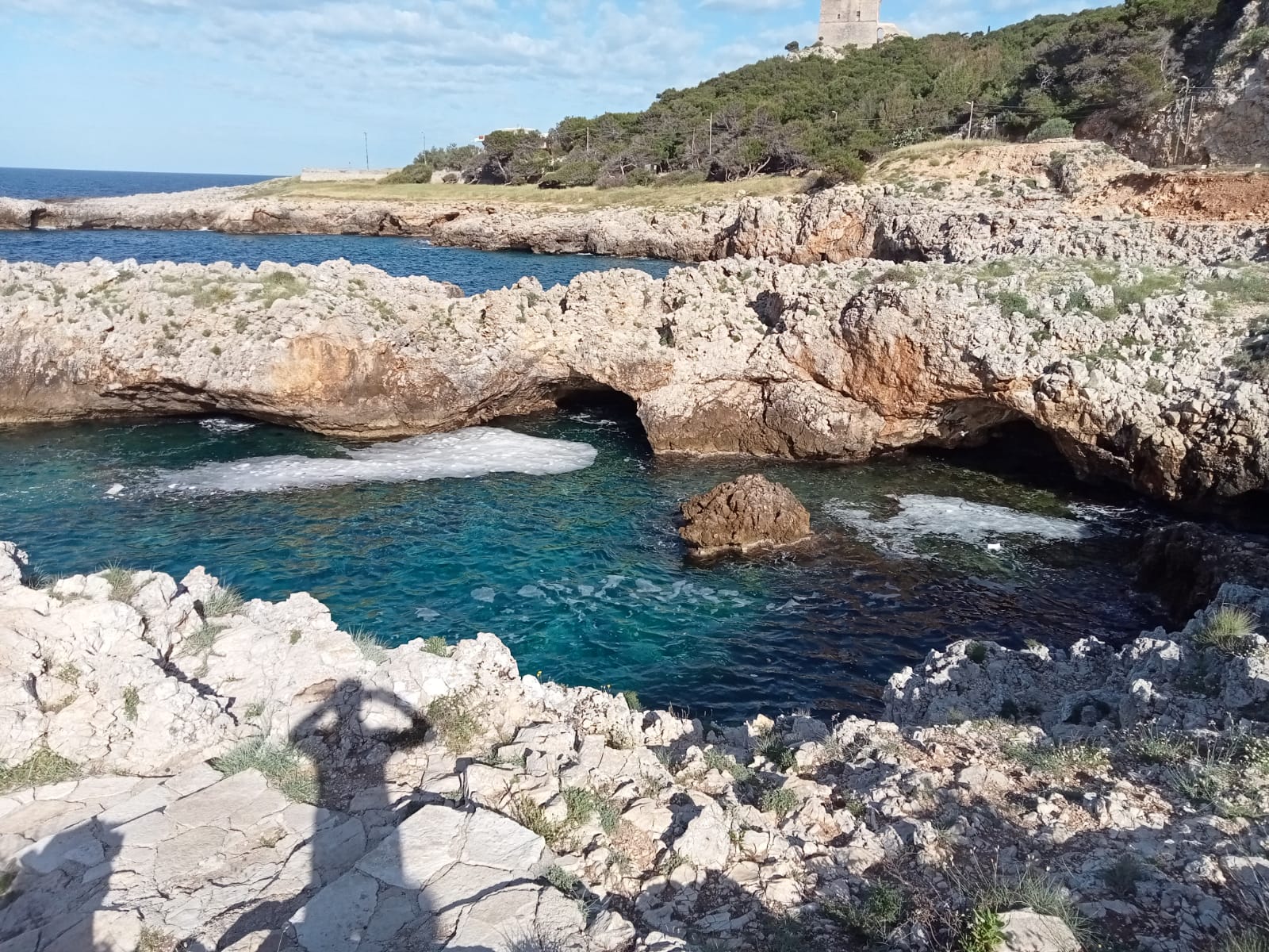 SCHIUMA MARE