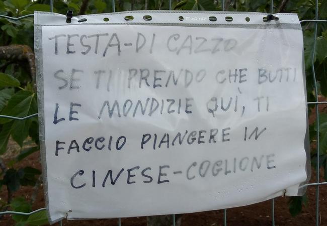 cinese