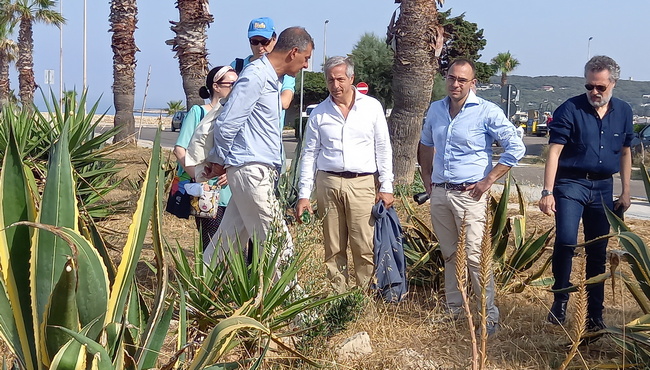pollice nel giardino 1
