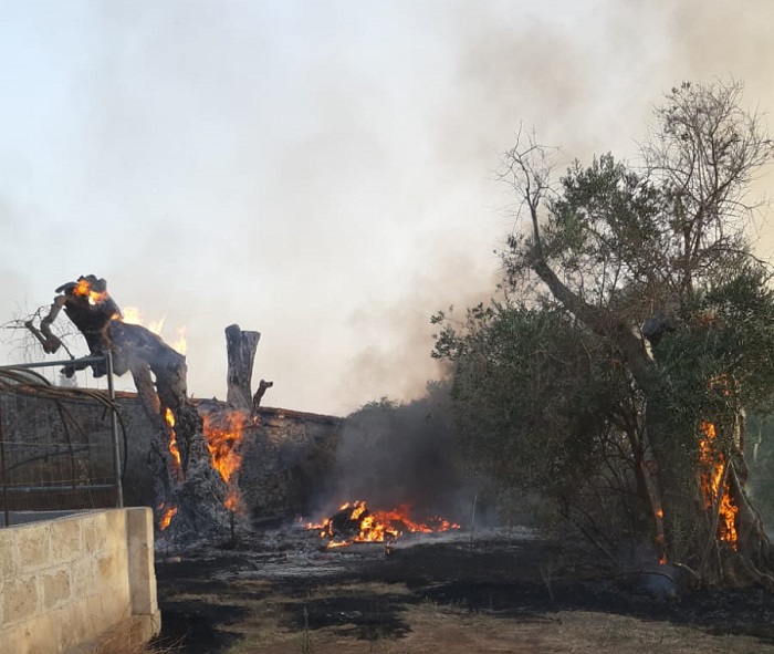 incendio3