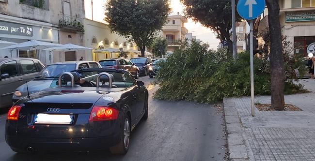 via duca