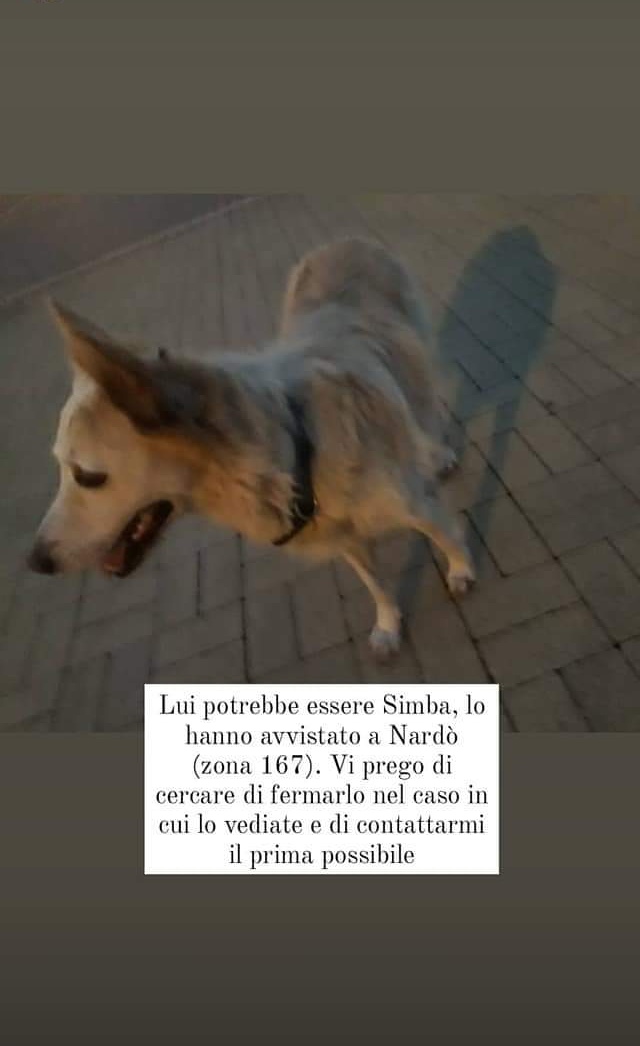 imm 3