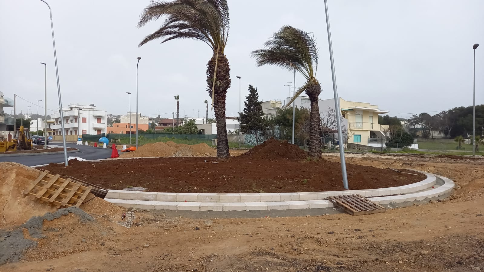 rotatoria edrisi 1