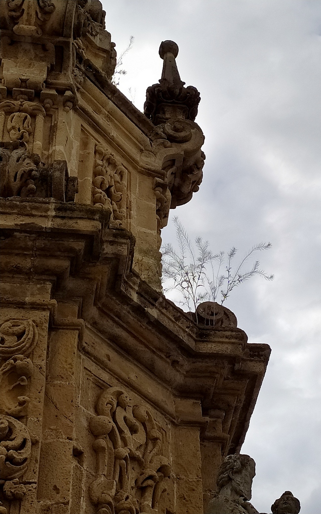 colonna