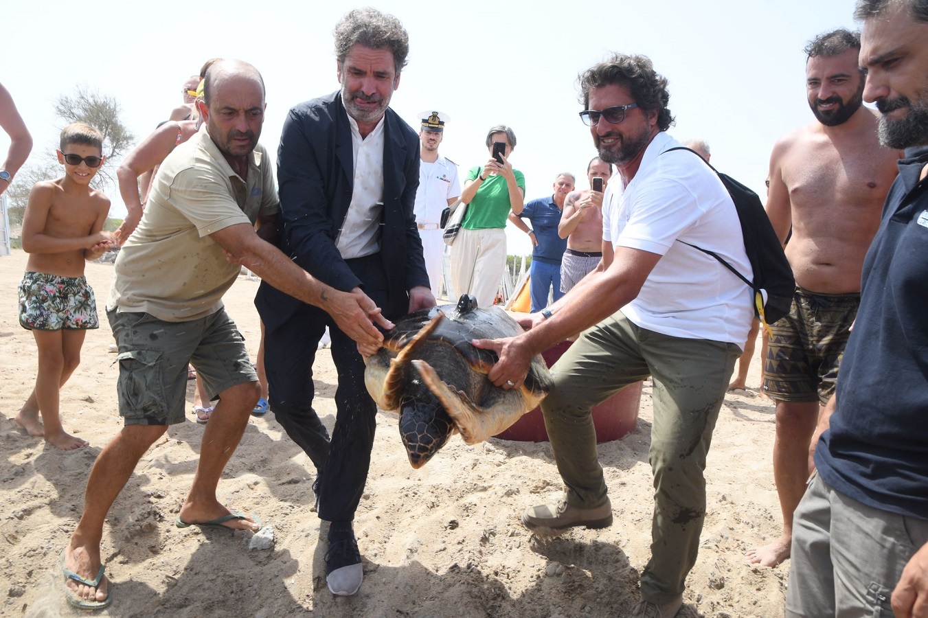 Liberazione tartaruga progetto mysea