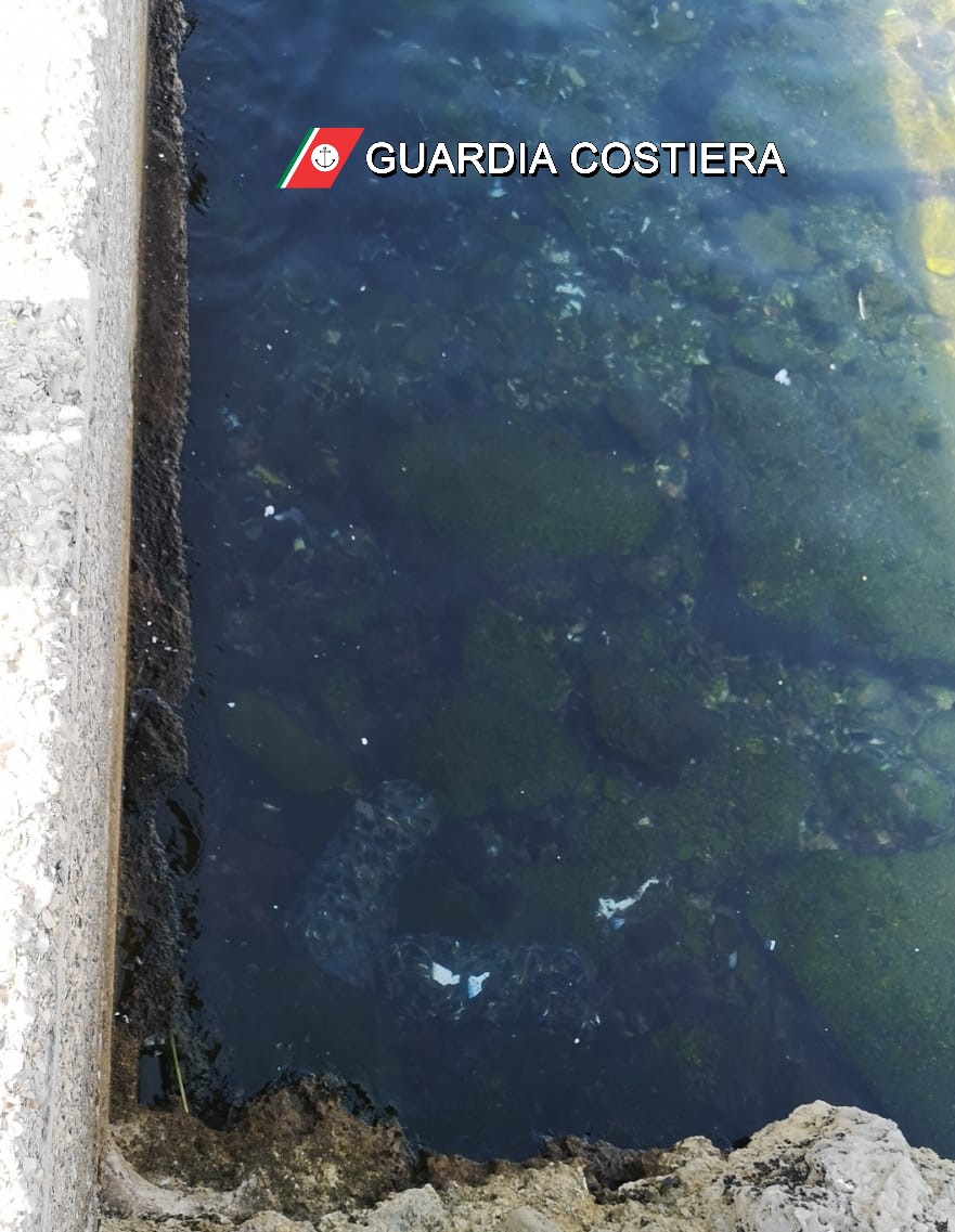 cozze in banchina con logo