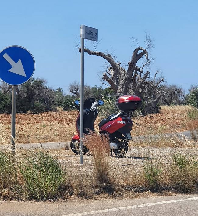 scooter