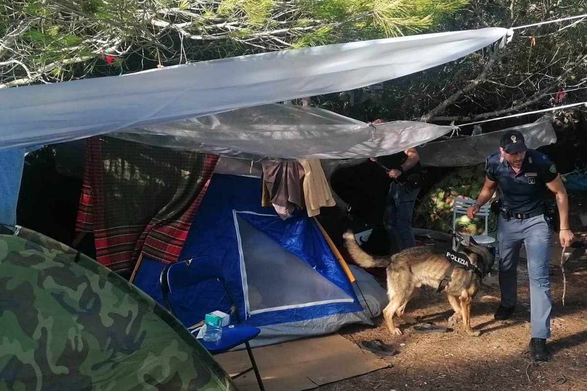 tenda