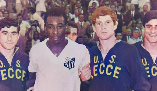 dona e pele