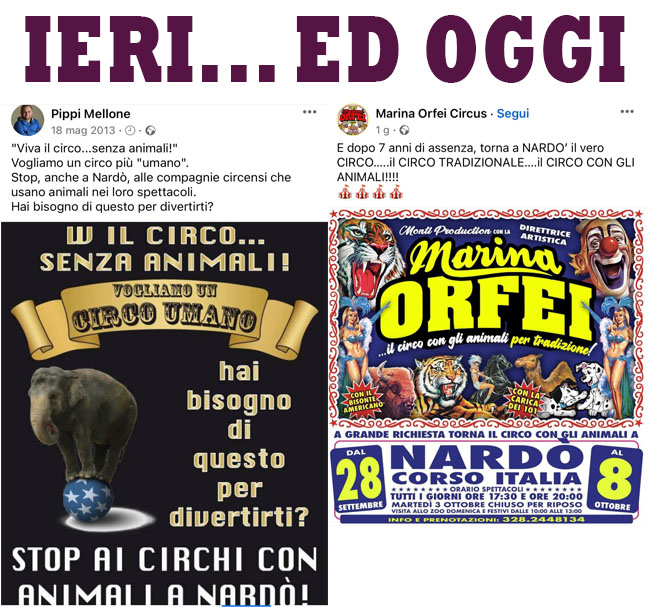 circo