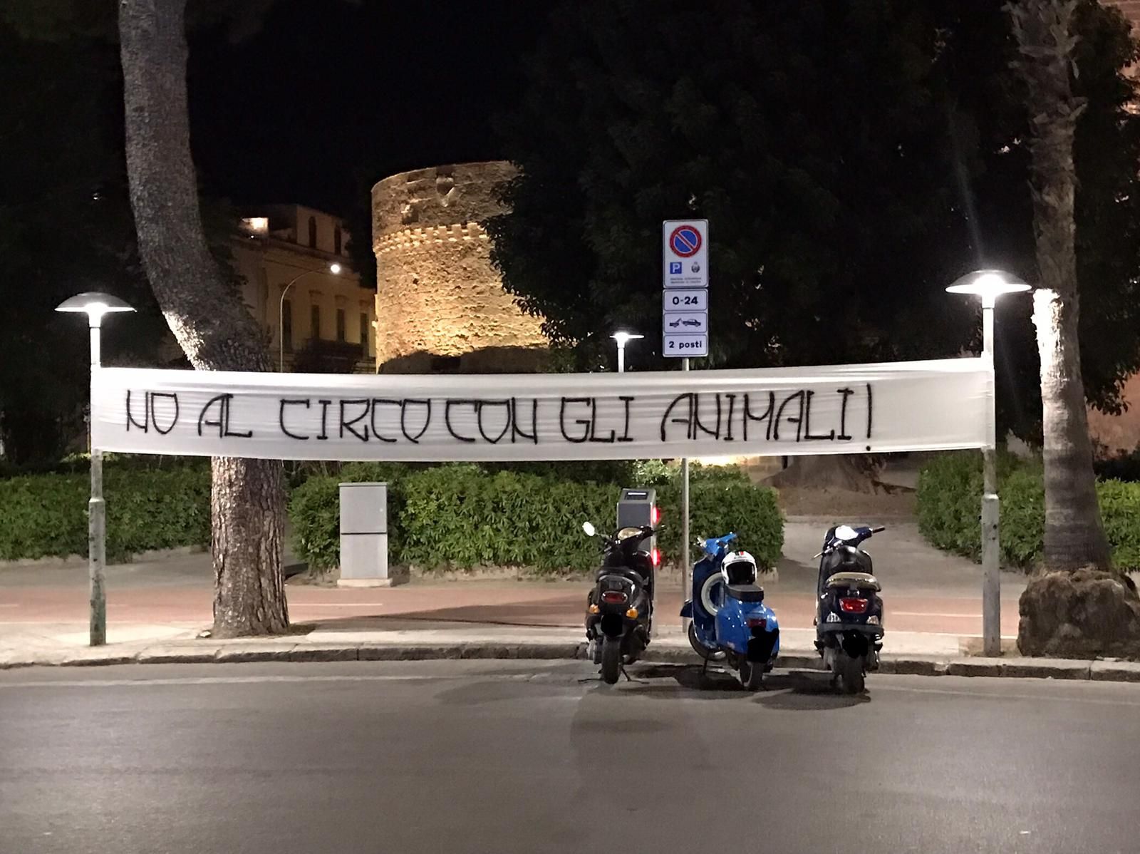no al circo