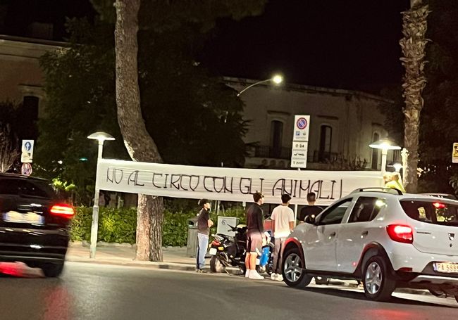 nocirco