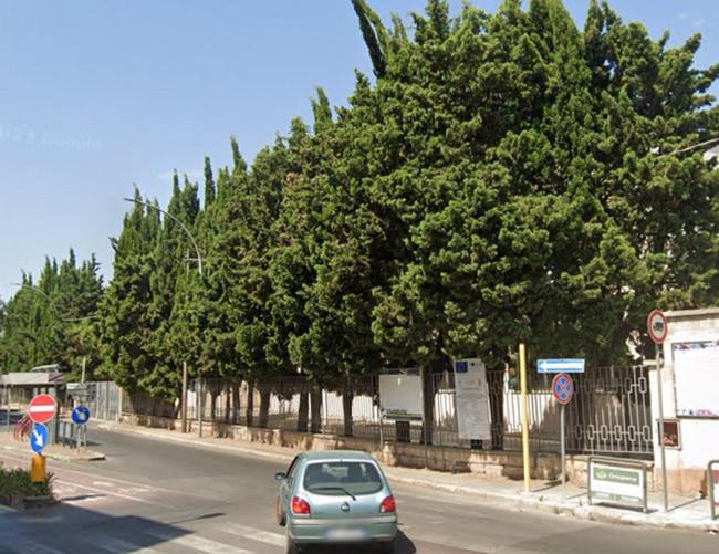 alberi