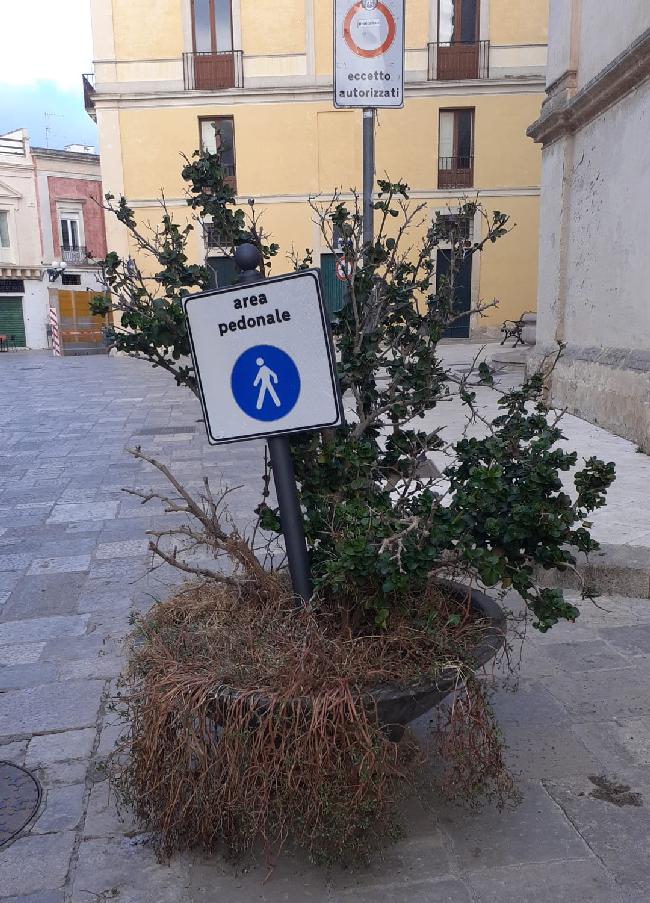 piazzasalandra