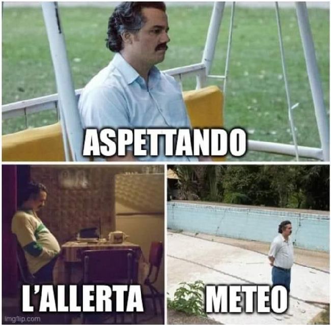 web mello