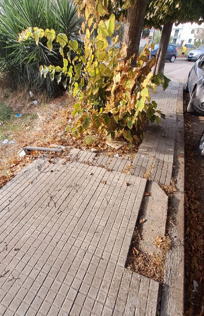 WhatsApp Image 2025 09 17 at 23.38.00 1