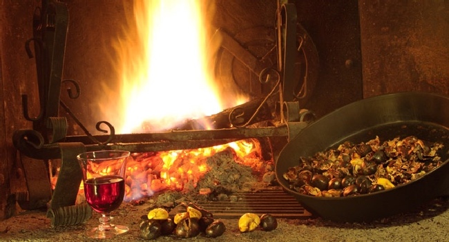 WhatsApp Image 2025 11 11 at 08.12.26