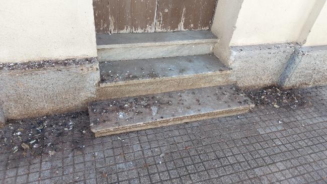 WhatsApp Image 2026 01 08 at 16.39.50