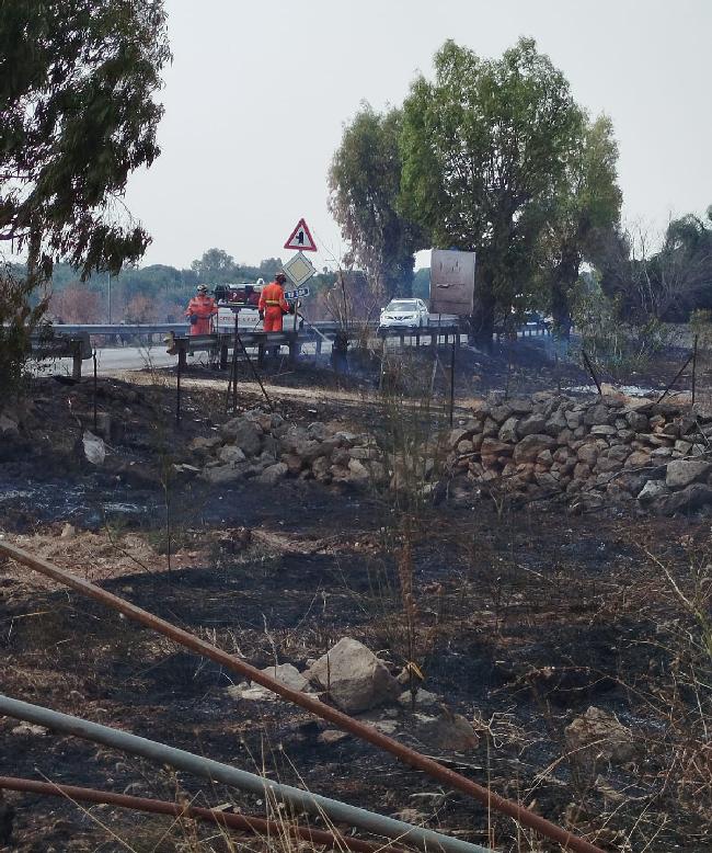 WhatsApp Image 2025 08 14 at 16.56.26