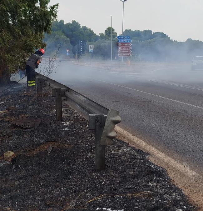 WhatsApp Image 2025 08 14 at 16.56.34