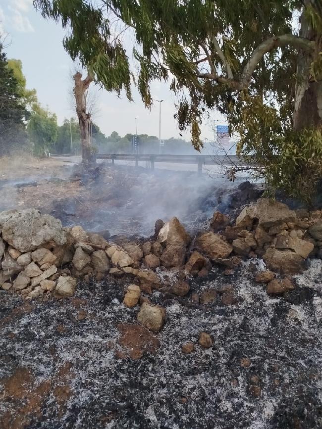 WhatsApp Image 2025 08 14 at 16.56.35