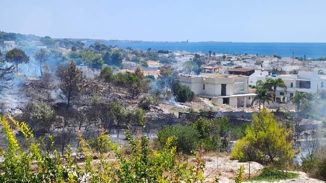 edrisi2