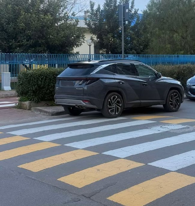 653587655 1229387389394404 4042649487295827241 n
